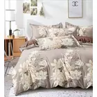 Cotton Bed Sheets - Plain White & Printed - Machine Washable