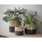 Natural Jute Bag Planter - Biodegradable Grow Bag for Indoor & Outdoor Plants