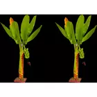 artifical banana tree Plants Home Decorations