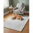 Hand woven recycled pet yarn rug