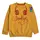 Cotton printed T Sweatshirt for boys(Pack of 1)